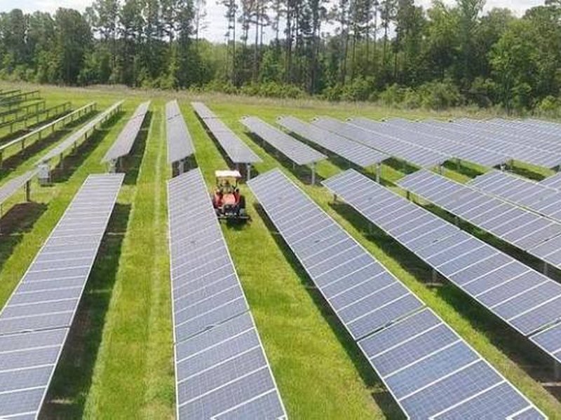 Technician spraying weed control near solar panel rows